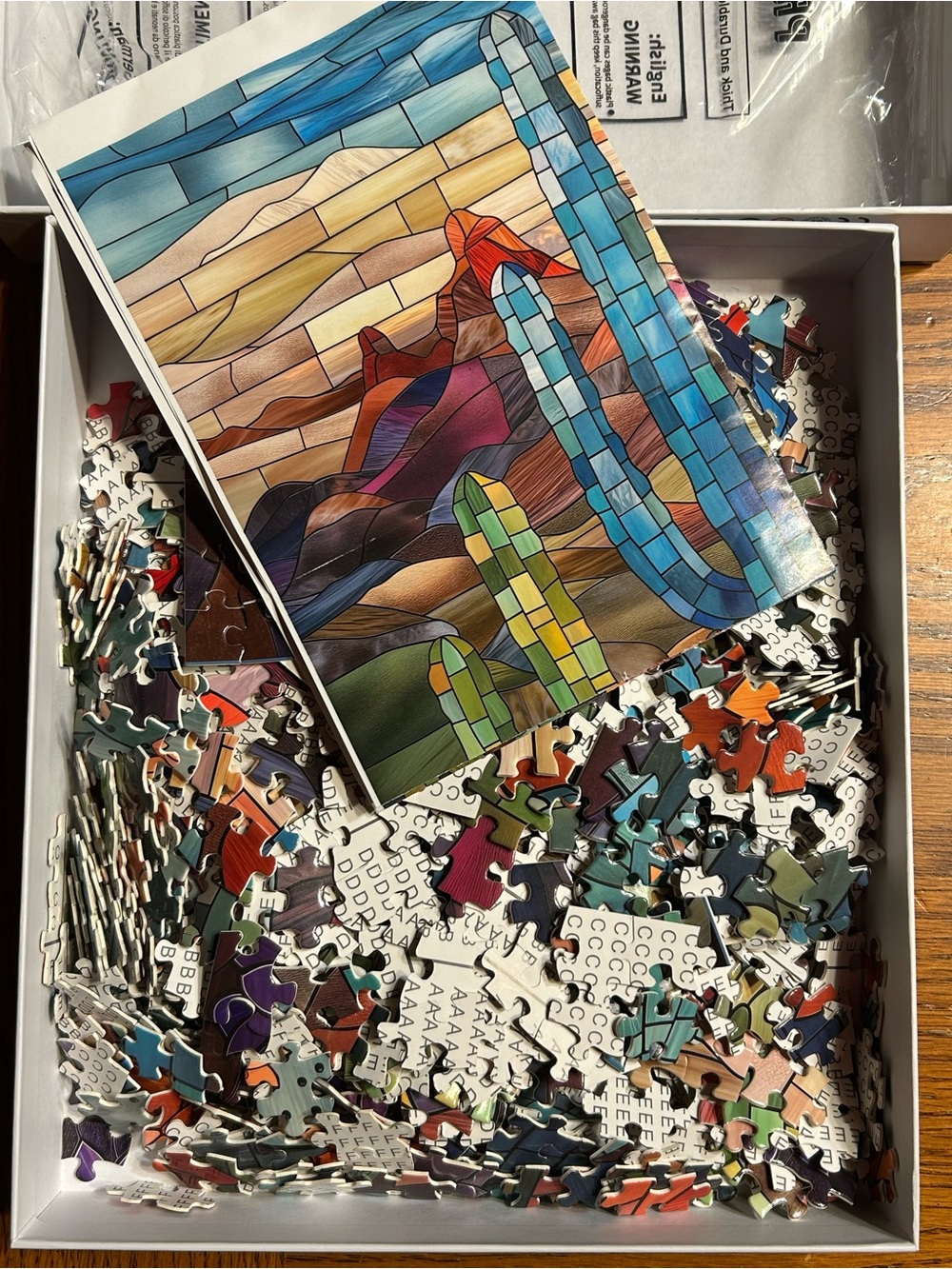 Color Cactus 1000-Piece Jigsaw Puzzle - Vibrant Multicolor Desert Artwork - Picture 2 of 2